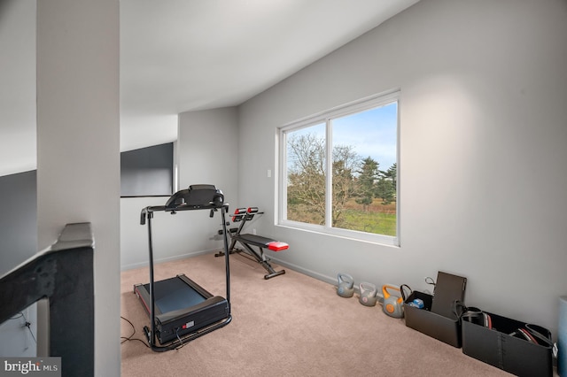 110 Rue Du Boise, Cherry Hill, NJ 08003 - exercise room featuring carpet floors and baseboards
