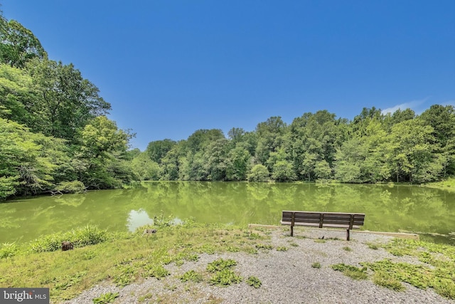 6260 Alpine Ct, Sunderland, MD 20689 - surrounding community with a water view and a forest view