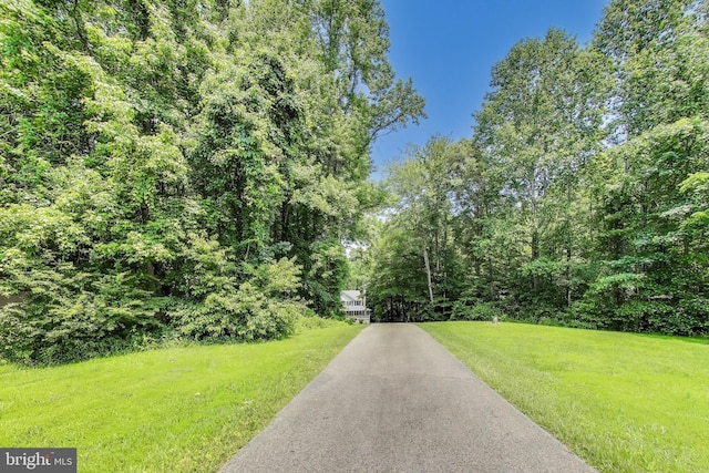 6260 Alpine Ct, Sunderland, MD 20689 - view of asphalt driveway featuring a forest view