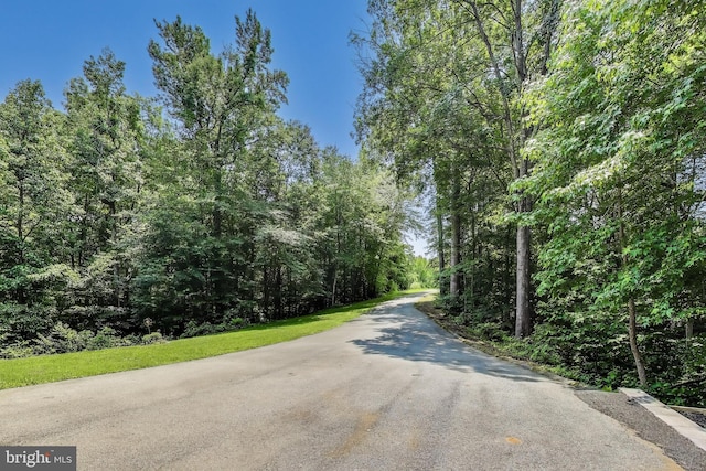 6260 Alpine Ct, Sunderland, MD 20689 - view of asphalt road with a view of trees