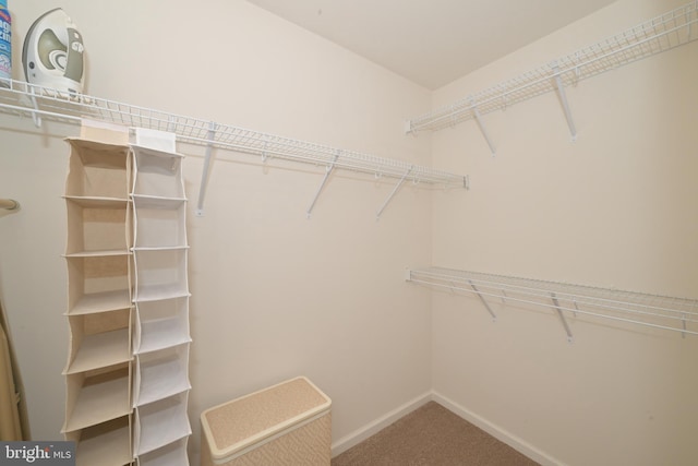 22890 Zoar Rd, Georgetown, DE 19947 - spacious closet with carpet
