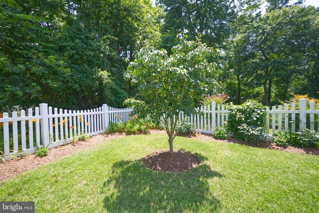 22890 Zoar Rd, Georgetown, DE 19947 - view of yard