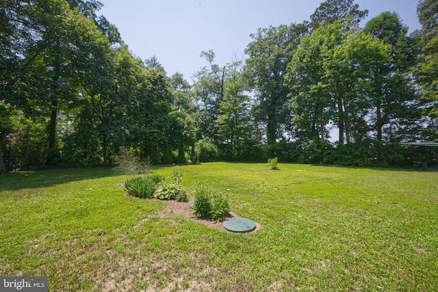 22890 Zoar Rd, Georgetown, DE 19947 - view of green lawn