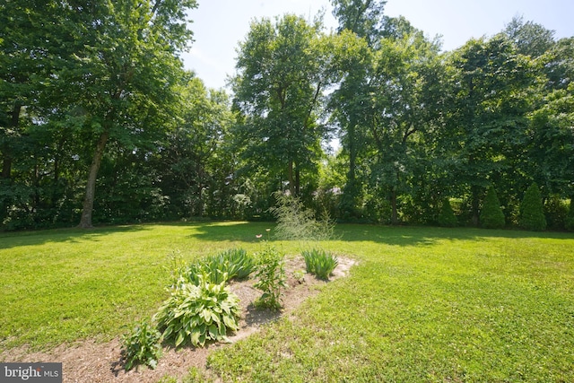22890 Zoar Rd, Georgetown, DE 19947 - view of green lawn