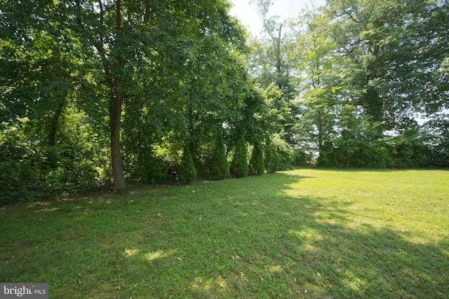 22890 Zoar Rd, Georgetown, DE 19947 - view of green lawn
