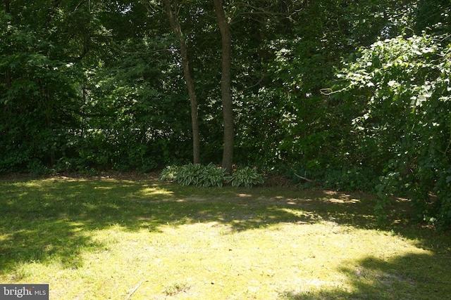 22890 Zoar Rd, Georgetown, DE 19947 - view of grassy yard