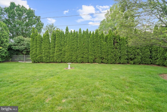 1122 N 14th St, Allentown, PA 18102 - view of yard