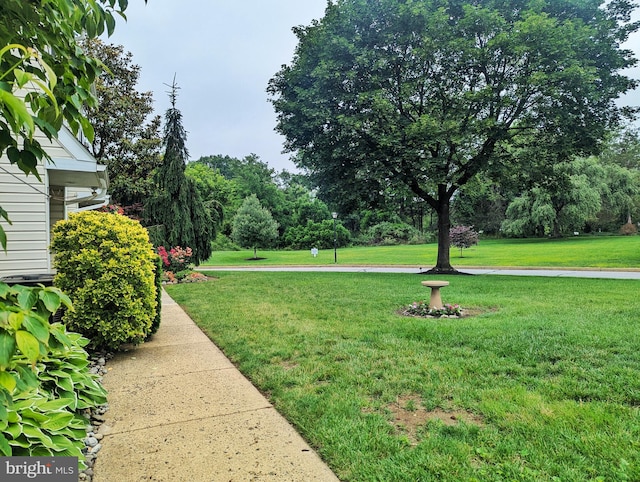 74 Avon Ln Unit 7D, New Hope, PA 18938 - view of grassy yard