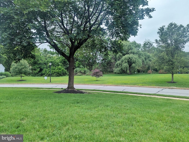 74 Avon Ln Unit 7D, New Hope, PA 18938 - view of grassy yard