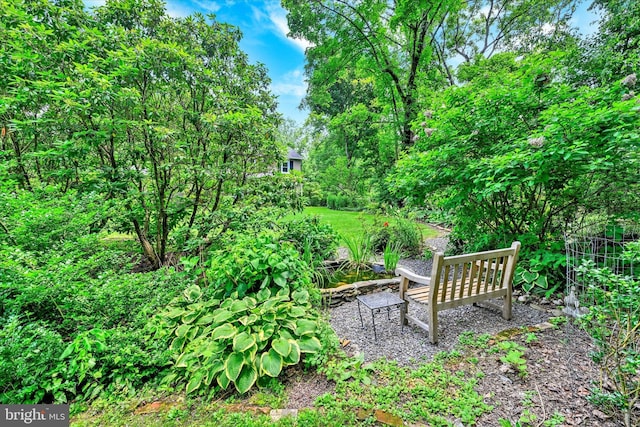 17435 Big Falls Rd, Monkton, MD 21111 - view of yard