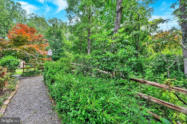 17435 Big Falls Rd, Monkton, MD 21111 - view of yard