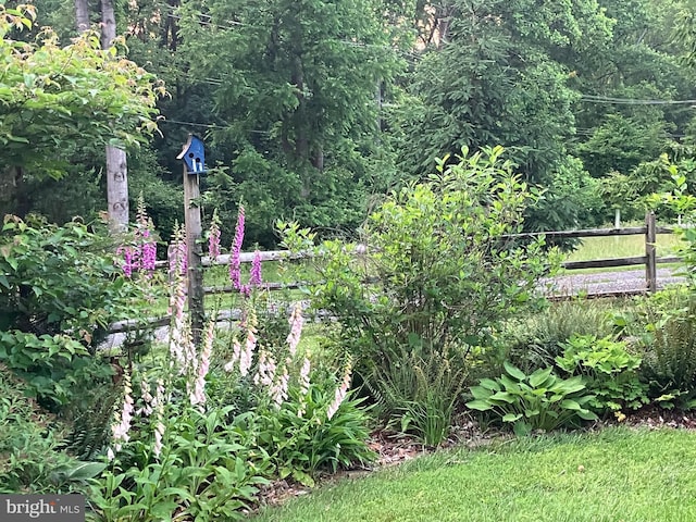 17435 Big Falls Rd, Monkton, MD 21111 - view of yard