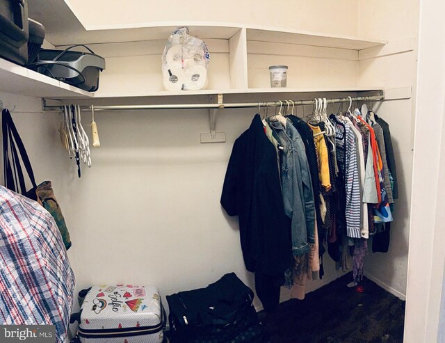 170 E Holly Ln, Tuckerton, NJ 08087 - view of walk in closet