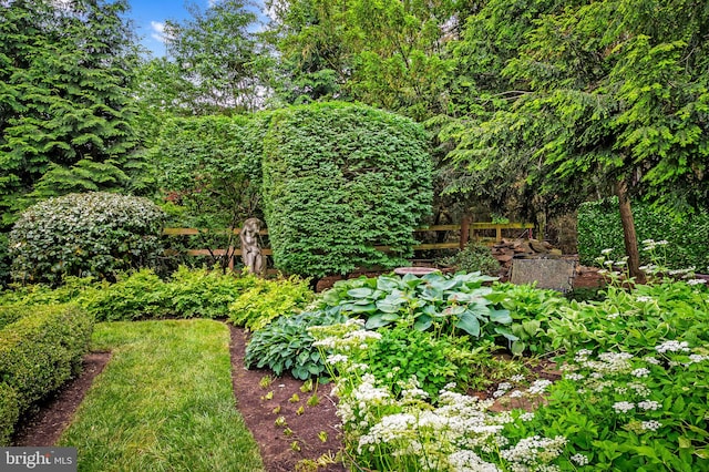 6316 Mossway, Baltimore, MD 21212 - view of yard with a garden