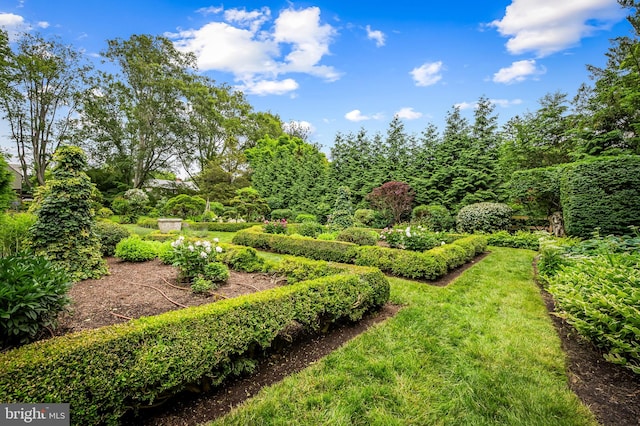 6316 Mossway, Baltimore, MD 21212 - view of yard