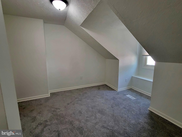 110 N Mulberry St, Hagerstown, MD 21740 - bonus room with a textured ceiling, lofted ceiling, and carpet