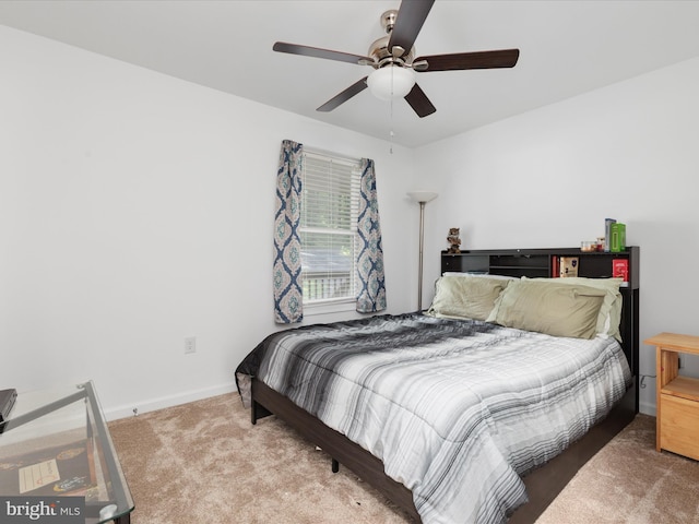 295 Rocky Mount Rd, Linden, VA 22642 - bedroom featuring carpet and a ceiling fan