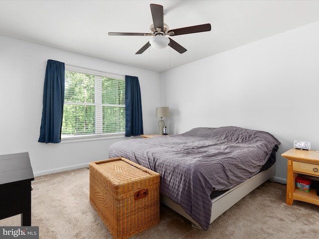 295 Rocky Mount Rd, Linden, VA 22642 - bedroom featuring carpet and ceiling fan