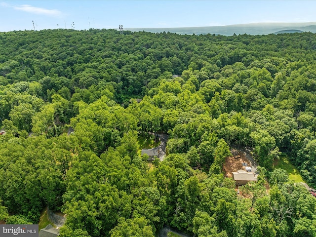295 Rocky Mount Rd, Linden, VA 22642 - bird's eye view of a forest