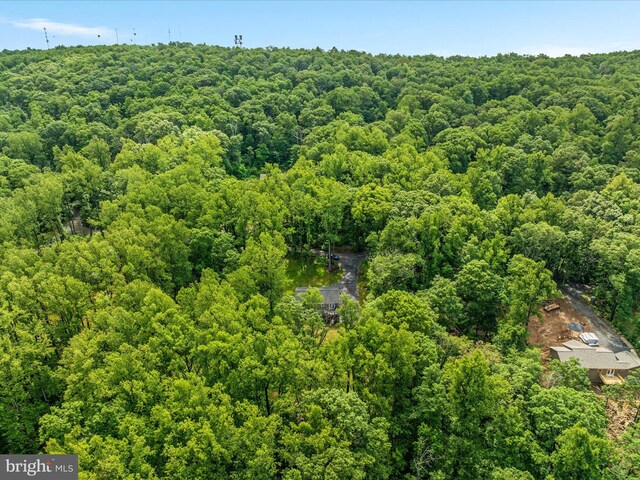 295 Rocky Mount Rd, Linden, VA 22642 - drone / aerial view of a forest