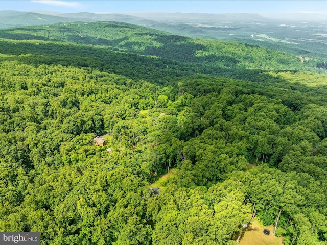 295 Rocky Mount Rd, Linden, VA 22642 - aerial view of property's location featuring a forest