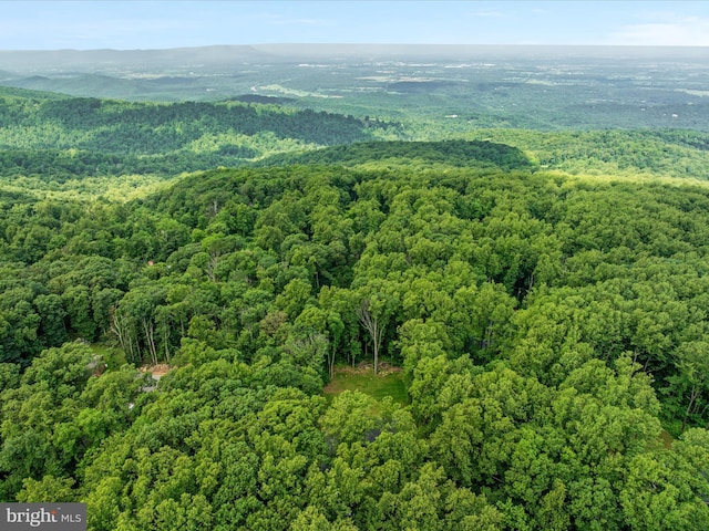 295 Rocky Mount Rd, Linden, VA 22642 - bird's eye view of a heavily wooded area
