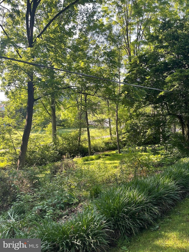 110 Linden Blvd, Middletown, MD 21769 - view of undeveloped land
