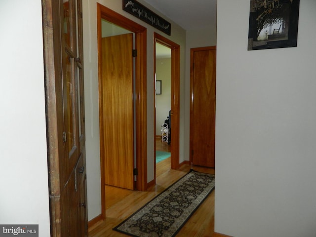 201 Cherry St, Millheim, PA 16854 - corridor with wood finished floors