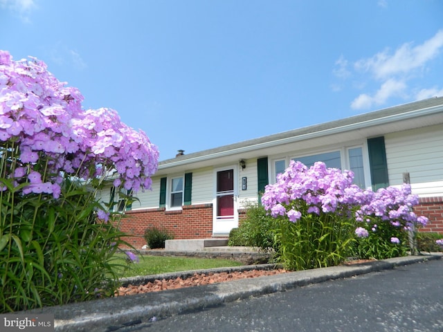 201 Cherry St, Millheim, PA 16854 - view of front of property featuring brick siding