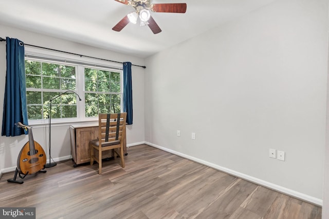 11736 Rockaway Ln Unit 101, Fairfax, VA 22030 - office with light wood-style flooring and ceiling fan