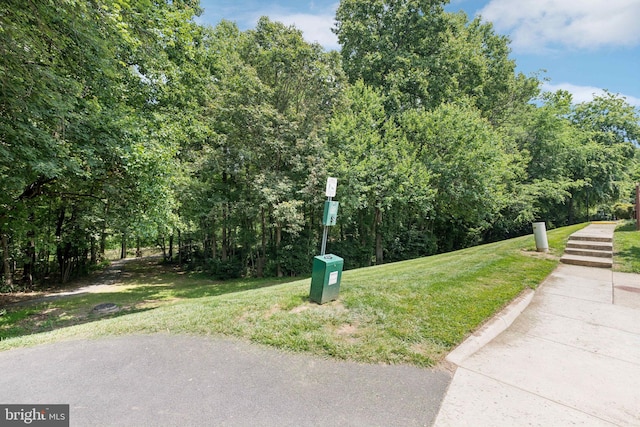 11736 Rockaway Ln Unit 101, Fairfax, VA 22030 - view of grassy yard