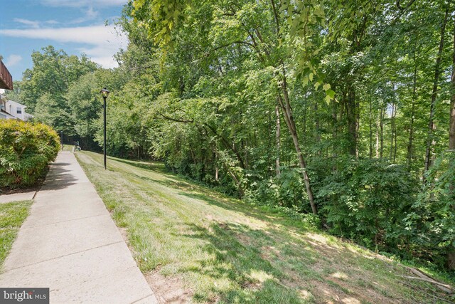11736 Rockaway Ln Unit 101, Fairfax, VA 22030 - view of yard