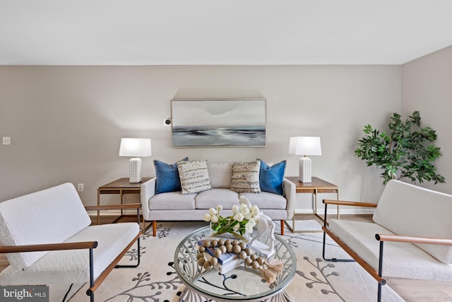 2050 N Calvert St Unit 410, Arlington, VA 22201 - living area featuring light wood-style floors