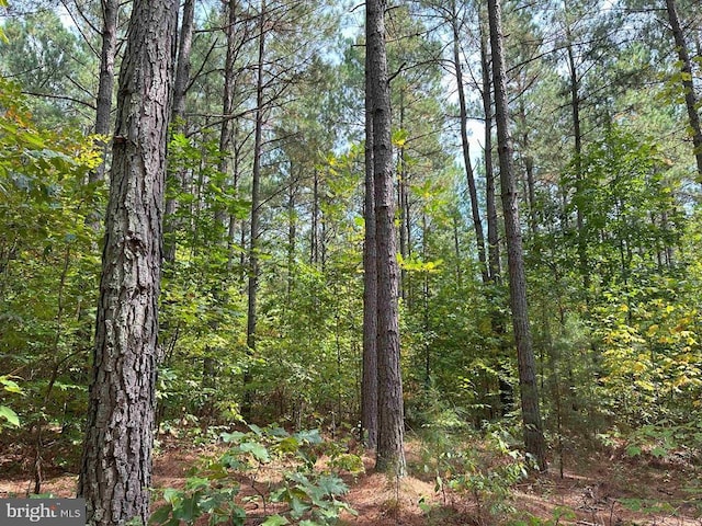 Penlan Rd Rt 671 Unit Pendland-3, Arvonia, VA 23004