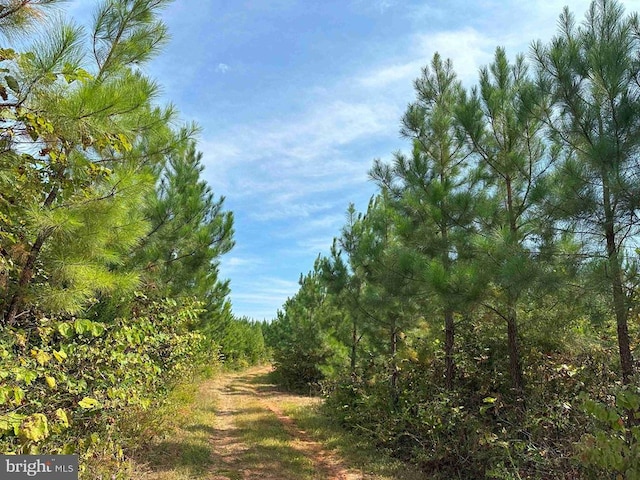 Penlan Rd Rt 671 Unit Pendland-3, Arvonia, VA 23004