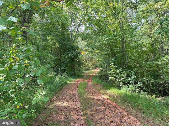 Penlan Rd Rt 671 Unit Pendland-3, Arvonia, VA 23004