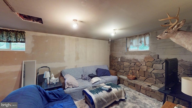 10495 Knobley Rd, Keyser, WV 26726 - bedroom with multiple windows and carpet