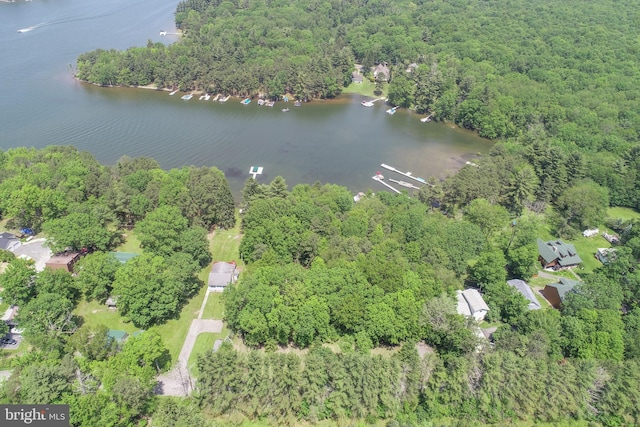 Hazelhurst Rd Unit B, Swanton, MD 21561