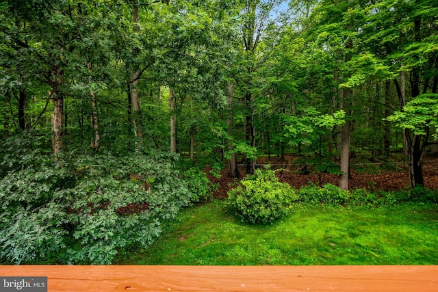 139 Putney Ln Unit 139, Malvern, PA 19355 - view of yard