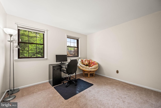 139 Putney Ln Unit 139, Malvern, PA 19355 - home office featuring carpet and baseboards