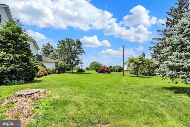 2540 Stoney Point Rd, East Berlin, PA 17316 - view of green lawn