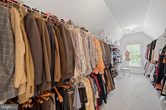 43146 Scenic Creek Way, Leesburg, VA 20176 - spacious closet featuring carpet and vaulted ceiling
