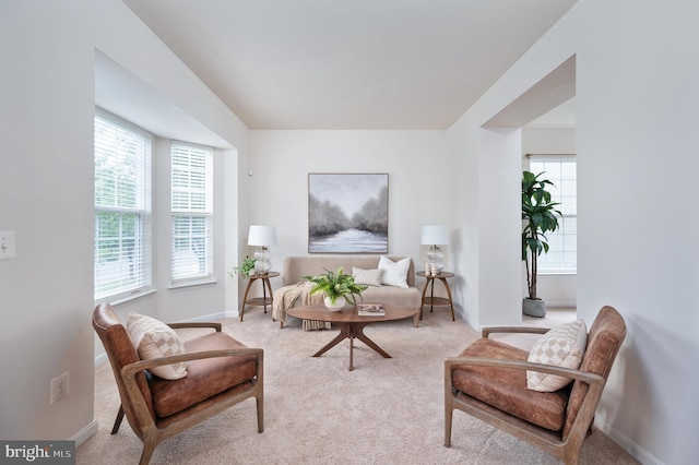 1201 Preserve Ln, Fredericksburg, VA 22401 - living room with healthy amount of natural light and light carpet