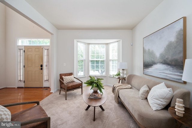 1201 Preserve Ln, Fredericksburg, VA 22401 - living area with plenty of natural light and wood finished floors