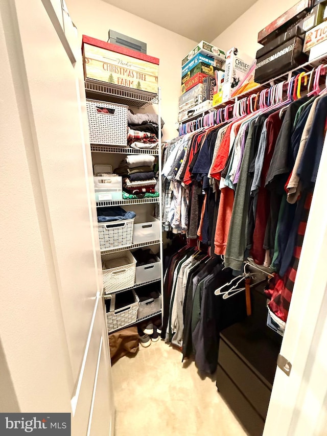 23245 Milltown Knoll Sq Unit 103, Ashburn, VA 20148 - view of walk in closet