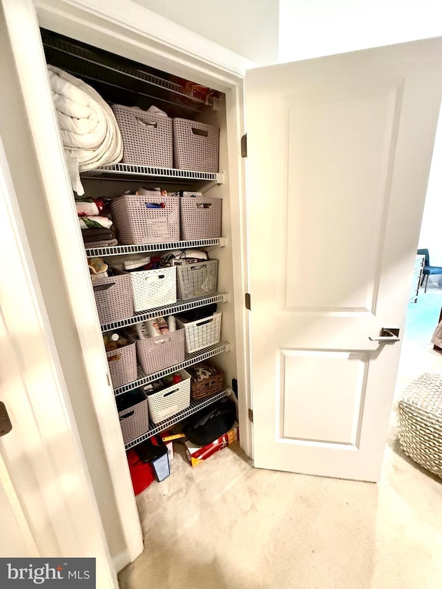 23245 Milltown Knoll Sq Unit 103, Ashburn, VA 20148 - view of closet