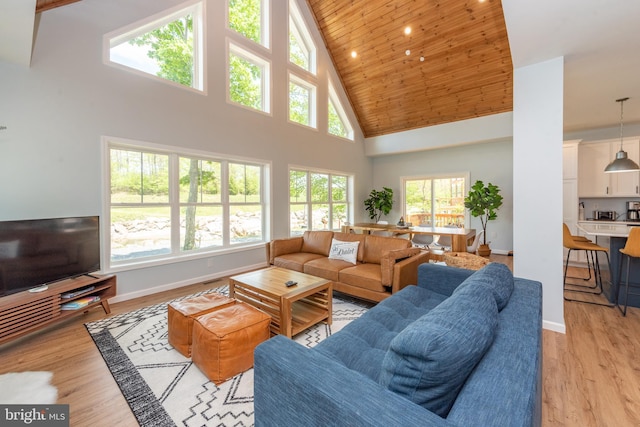 130 Wisp Adventure Rd, Mc Henry, MD 21541 - living room featuring high vaulted ceiling, wood ceiling, and light wood-style floors