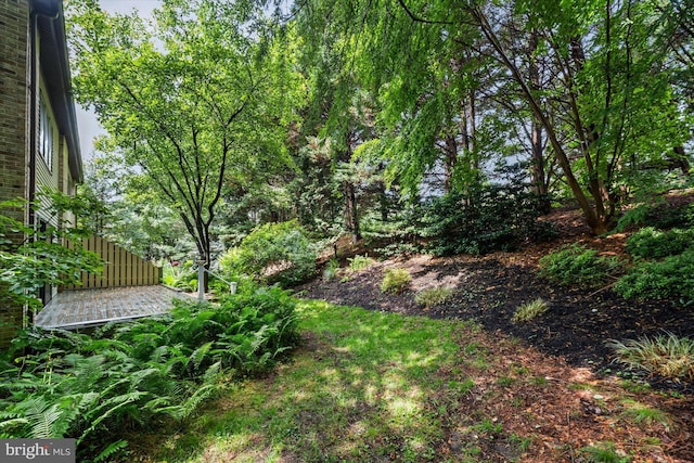 201 Steeplechase Cir, Wilmington, DE 19808 - view of yard