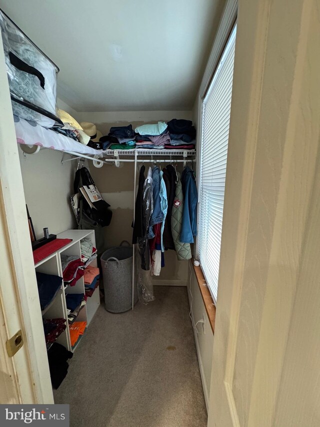 10 Chestnut St, Lumberton, NJ 08048 - spacious closet with carpet