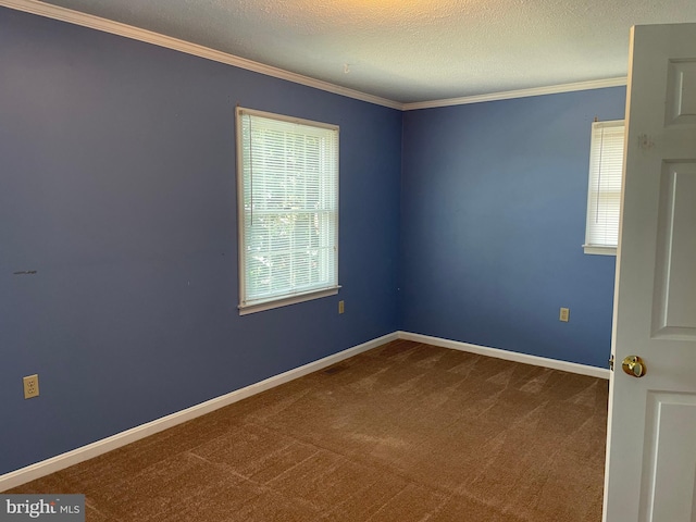 711 E Cork St, Winchester, VA 22601 - spare room featuring ornamental molding, carpet floors, and a textured ceiling